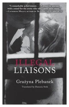 Grażyna Plebanek Illegal Liaisons обложка книги