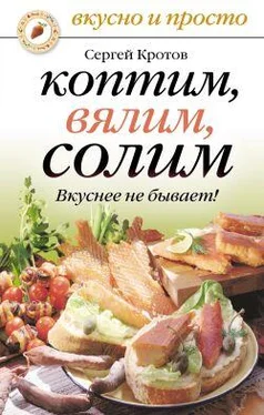 Сергей Кротов Коптим, вялим, солим. Вкуснее не бывает! обложка книги