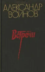 Александр Воинов - Ночи Перекопа