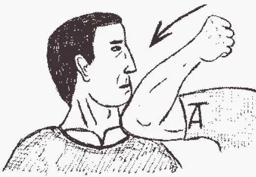 рисунок 52б рисунок 53 1 рисунок 53 2 Аналогичные последствия - фото 121