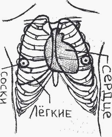 рисунок 82б Удары по горлу эффективное но очень жестокое средство - фото 192
