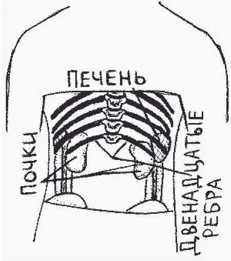 рисунок 90б Приемы борьбы с воздействием на шею Основными приемами борьбы - фото 214