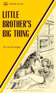 Lee Schlangen Little brother_s big thing обложка книги