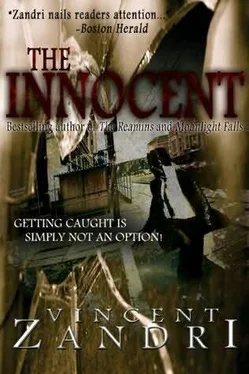 Vincent Zandri The Innocent