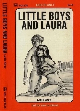 Lydia Gray Little boys and Laura обложка книги