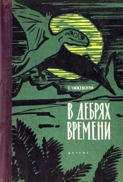 Герман Чижевский В дебрях времени обложка книги