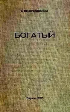 Анатолий Величковский Богатый обложка книги