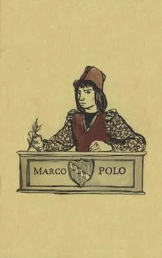 Вилли Майнк Die seltsamen Abenteuer des Marko Polo обложка книги