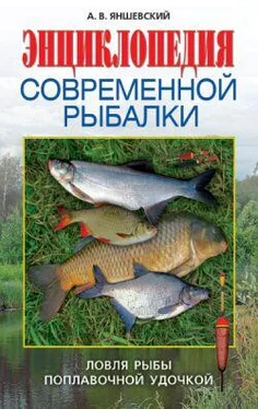 Андрей Яншевский Энциклопедия современной рыбалки. Ловля рыбы поплавочной удочкой обложка книги