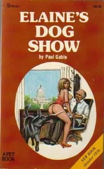Paul Gable - Elaine_s dog show