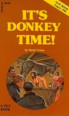 David Crane It_s donkey time! обложка книги