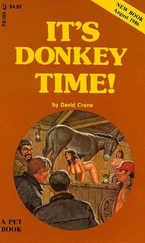 David Crane - It_s donkey time!