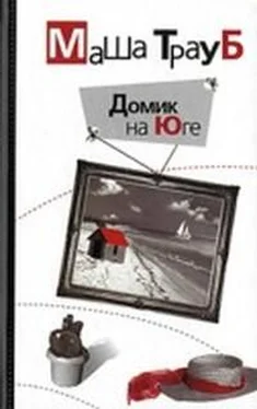 Маша Трауб Домик на Юге обложка книги