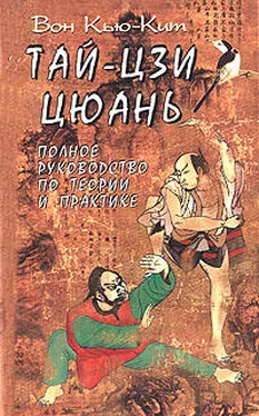 Вон Кит Тай-Цзи цюань. Полное руководство по теории и практике обложка книги