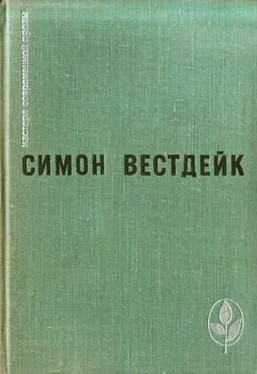 Симон Вестдейк Вьюнок и буря обложка книги