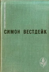 Симон Вестдейк - Исчезновение часовых дел мастера