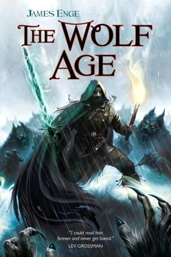 James Enge The Wolf Age обложка книги