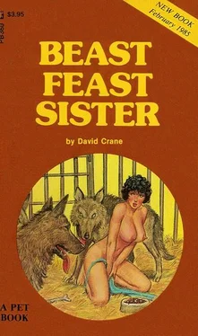 David Crane Beast feast sister обложка книги