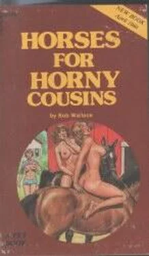 Bob Wallace Horses for horny cousins обложка книги