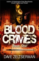 Dave Zeltserman - Blood Crimes Book One