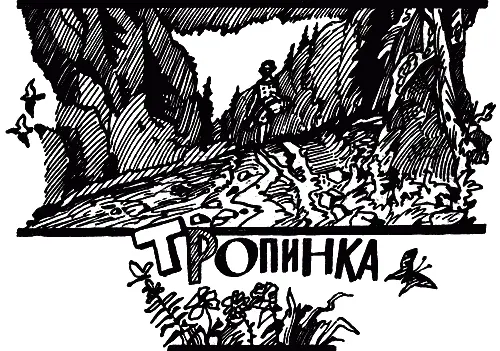 Прибежала Тропинка к Дороге и остановилась в восхищении Тётенька как ты - фото 19