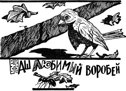 Мы опять не узнали нашего воробья Мы приняли его за чужого воробья а чужого - фото 25