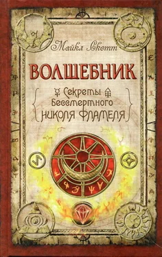 Майкл Скотт Волшебник обложка книги