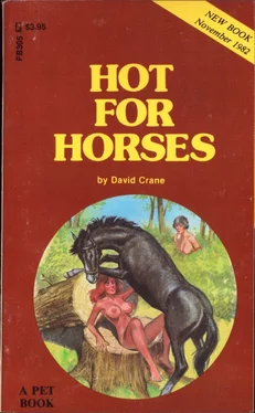 David Crane Hot for horses обложка книги