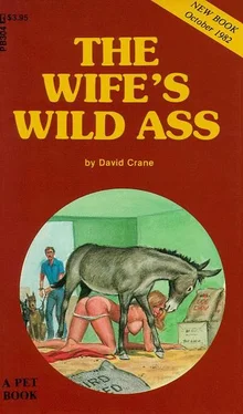 David Crane The wife_s wild ass обложка книги
