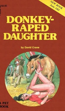 David Crane Donkey raped daughter обложка книги