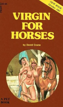 David Crane Virgin for horses обложка книги