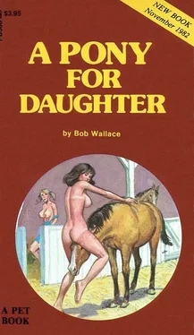 Bob Wallace A pony for daughter обложка книги