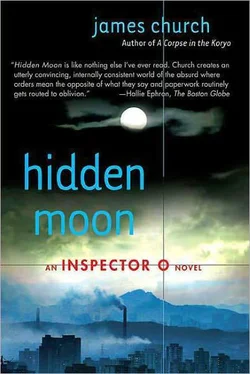 James Church Hidden Moon обложка книги