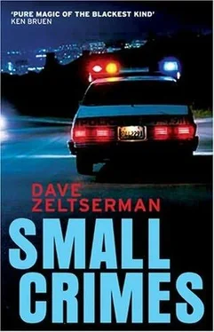 Dave Zeltserman Small crimes обложка книги