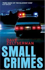 Dave Zeltserman - Small crimes