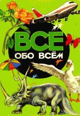 Аркадий Ликум Все обо всем. Том 4 обложка книги