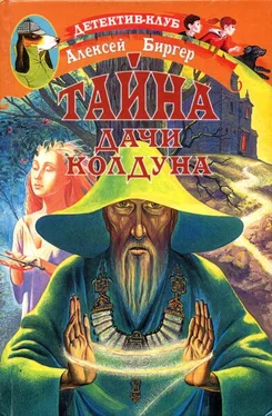 Алексей Биргер Тайна дачи колдуна обложка книги