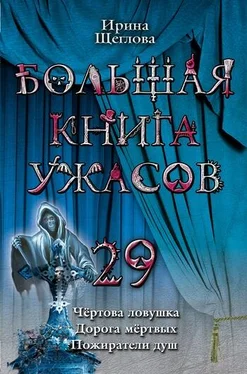 Ирина Щеглова Пожиратели душ обложка книги