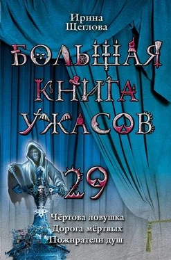 Ирина Щеглова Чертова ловушка обложка книги