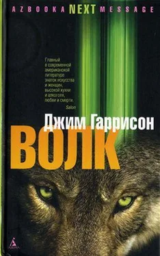 Джим Гаррисон Волк. Ложные воспоминания обложка книги