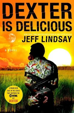 Jeffrey Lindsay Dexter is delicious обложка книги