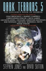Stephen Jones - Dark Terrors 5 - The Gollancz Book of Horror