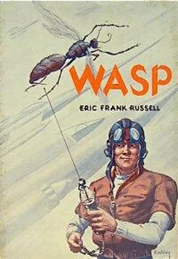 Eric Russell Wasp обложка книги