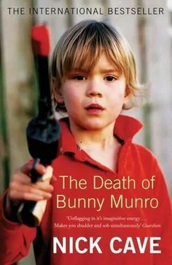 Nick Cave The Death of Bunny Munro обложка книги