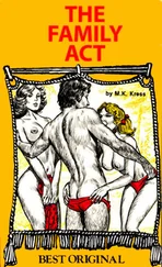 M Kress - The family act