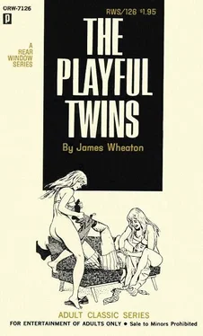 James Wheaton The playful twins обложка книги