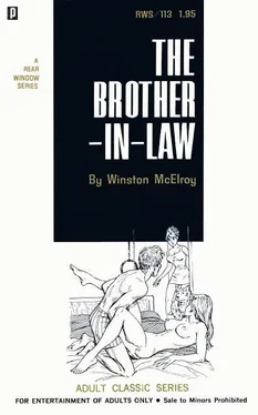 Winston McElroy The brother-in-law обложка книги