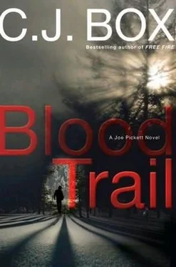 C Box Blood Trail обложка книги