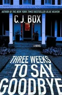 C Box Three Weeks to Say Goodbye обложка книги