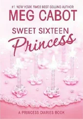 Meg Cabot - Sweet Sixteen Princess